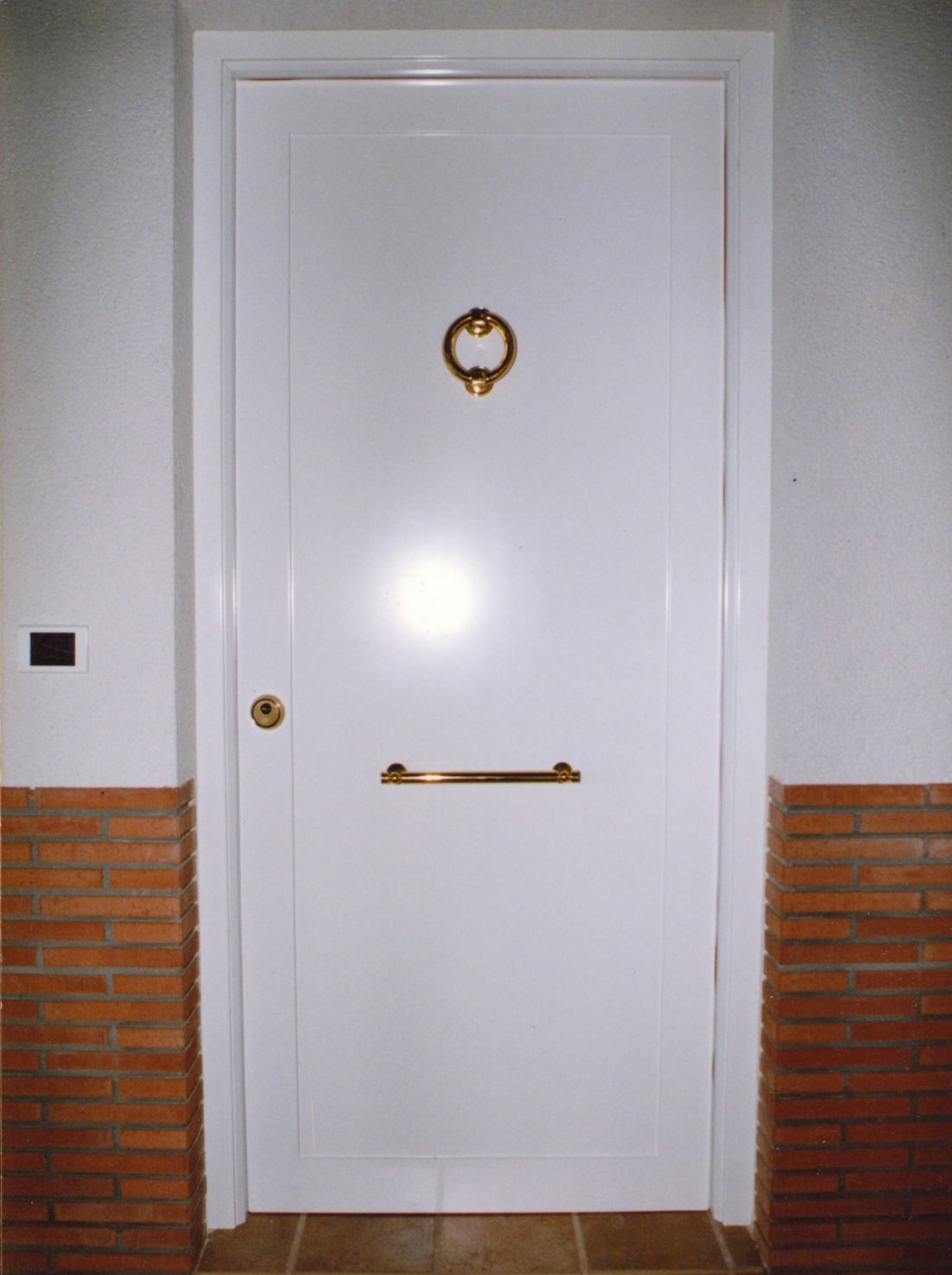 PA11 ACORAZADA LACADA MOD. 1 CUADRO